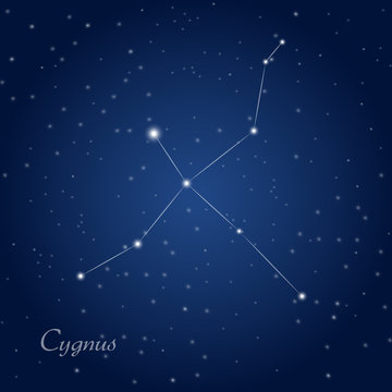 Cygnus constellation at starry night sky