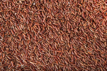Wild red rice texture background