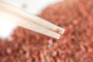 Wild red rice with sticks closeup