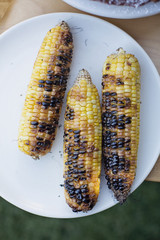 Three pieces of char grilled corn 
