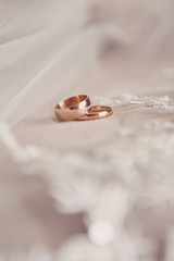 Two wedding gold rings on the veil