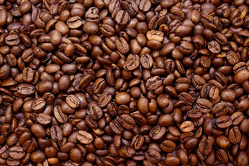 Roasted coffee beans