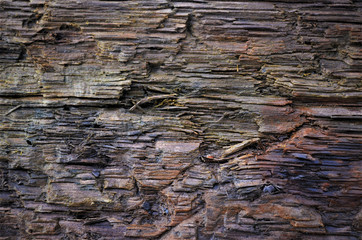 wood texture