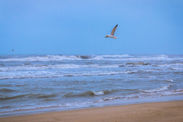 Plage de l'Espiguette