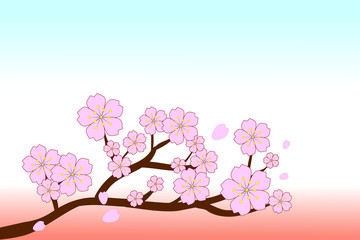 Beautiful pink Sakura flowers on brown branches with copy-space on top. The cherry blossoms and blowing/flying petals on background of gradient sky blue and light red colors. Vector illustration.