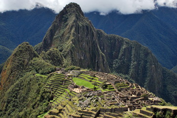 Landscape in Machu Picchu
