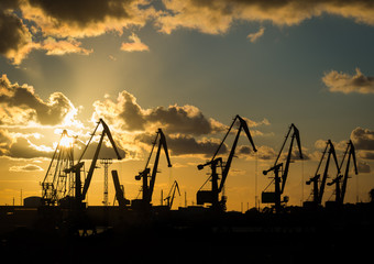 Obraz premium Port cranes in the sunset