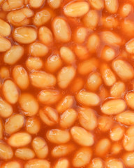 Baked Beans