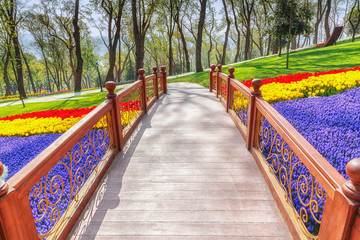 Romantic wooden bridge among of tulips and other flowers in city park Emirgan Korusuin in Istanbul, Turkey. Spectacular blooming spring seasonal scenery.