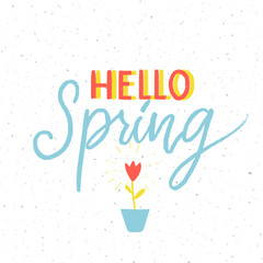 Hello sping - minimalistic calligraphy inscription and small growing tulip flower. Spring banner design for social media and inspirational prints.