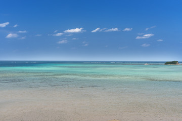 大見謝ロードパークの風景