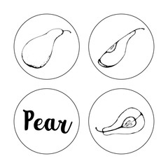 Black and white fruit sketch hand drawing isolated vector illustration