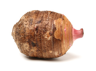 Taro on white background
