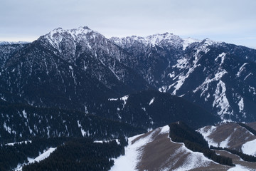 Aerial view of the Alpine mountains and forest