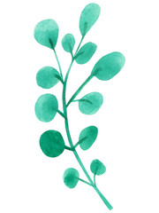 Obraz premium Hand drawn green leaf. Watercolor isolated object.