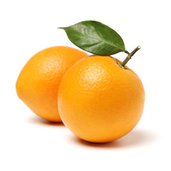 Orange fruit on the white background