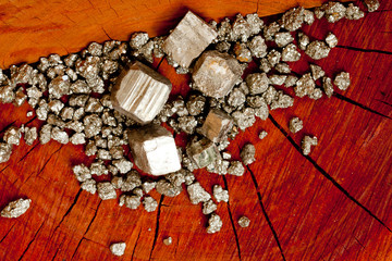 Pyrite - Fool's Gold - on wood tree stump