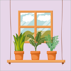 colorful background with home window with potted plants vector illustration
