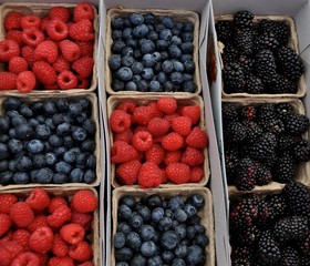 A Farmer's Market morning.