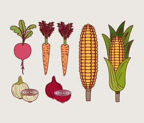 background to color set of vegetables vector illustration
