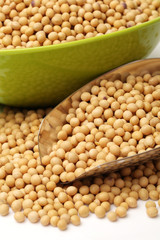 gold soybean isolated on white background 