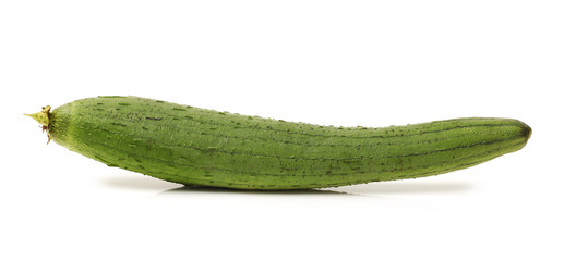 fresh loofah on the white background 