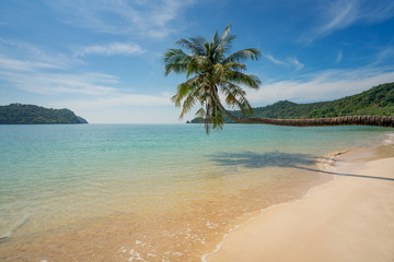 Coconut palm tree over summer beach sea in Phuket ,Thailand. Summer, Travel, Vacation and Holiday concept