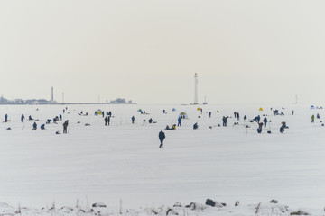 Fishermans on ice. Mans fishing on ice on gulf on Finland near Kronshtadt, Saint Petersburg, Russia,