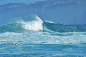 olas