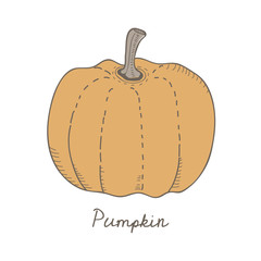 Illustration of pumpkin