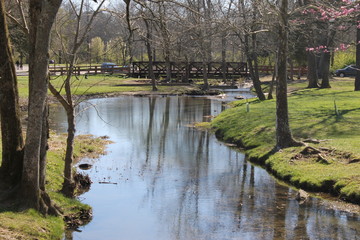 Fototapeta na wymiar Nice little river at the park