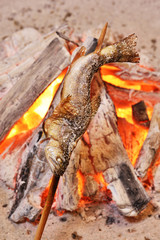    Fish Ayu with salt being charcoal broiled in Japan. 