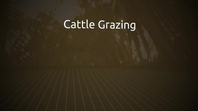 Threats to the Rain forest Motion Graphics Series - Cattle Grazing