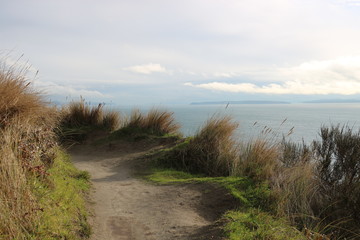 Path by the ocean