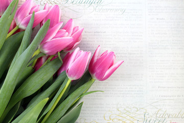 Pink tulips on vintage background: paper, newspaper. Spring flowers. A romantic floral background with copy space