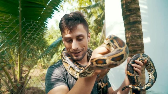 Camera slowly rotates around an attractive young male tourist holding a Burmese Python around in his hands and around his neck