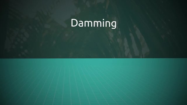 Threats to the Rain forest Motion Graphics Series - Damming