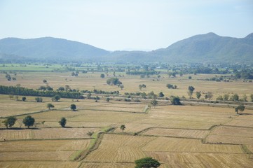 Obraz premium dry rice field in Kanchanaburi at Thailand