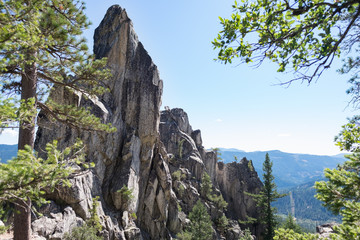 Castle Crags Panaorama - Forest - Mountain