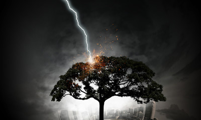 Bright lightning hit the tree