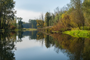 Fototapeta na wymiar Calm river and reflecting colorful trees in autumn