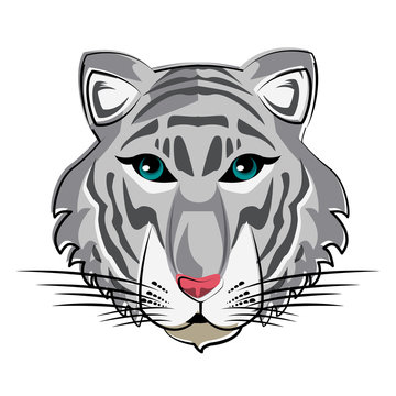 Tiger Wild animal head vector illustration graphic design