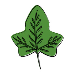 Leaf eco symbol vector illustration graphic design