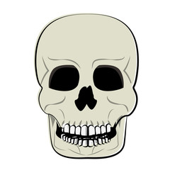 Obraz premium Human skull cartoon vector illustration graphic design