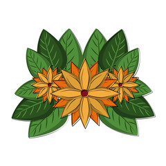 Beautiful flowers between leaves vector illustration graphic design