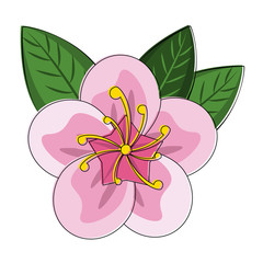 Beautiful flower symbol vector illustration graphic design
