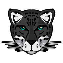 Leopard Wild animal head vector illustration graphic design