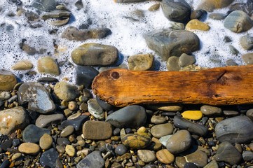 driftwood, washed up by the sea on a pebble beach