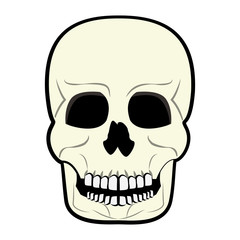 Human skull cartoon vector illustration graphic design