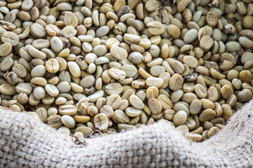 Coffee Beans in a Bag